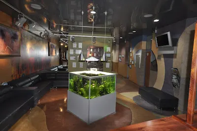 Studio Dentystyczne Ewa Marek Andrzejewscy